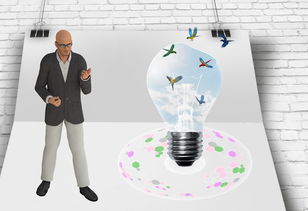 米兰体育官网-中国篮球职业联赛俱乐部财务风险管理及控制，篮球俱乐部的风险与对策